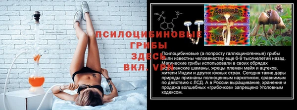 стаф Алексеевка