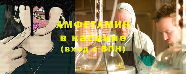 молекула духа Алзамай