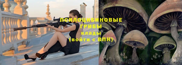 стаф Алексеевка
