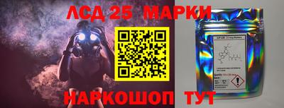 прущие грибы Ачхой-Мартан