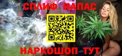прущие грибы Ачхой-Мартан