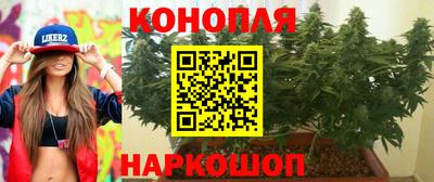 прущие грибы Ачхой-Мартан