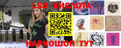 прущие грибы Ачхой-Мартан