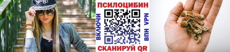 ссылка на мегу ONION  Амурск  Псилоцибиновые грибы мухоморы 